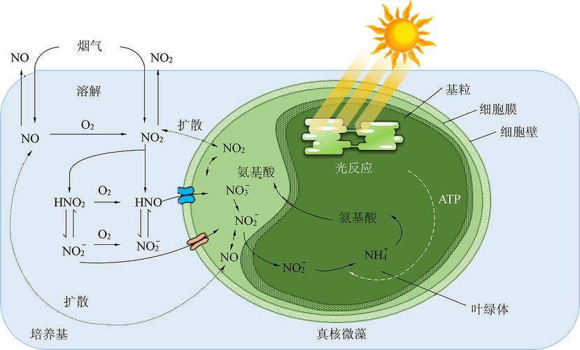 首套矿山微藻生态固碳系统在呼伦贝尔让荒滩变绿洲