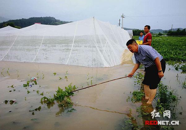 水利指导保障湖南等受灾地区农村供水