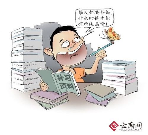 补习班与尖子生的秘密