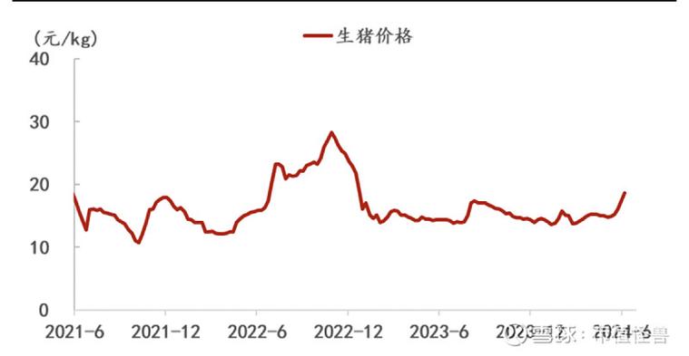 猪价创纪录暴涨再攀高峰